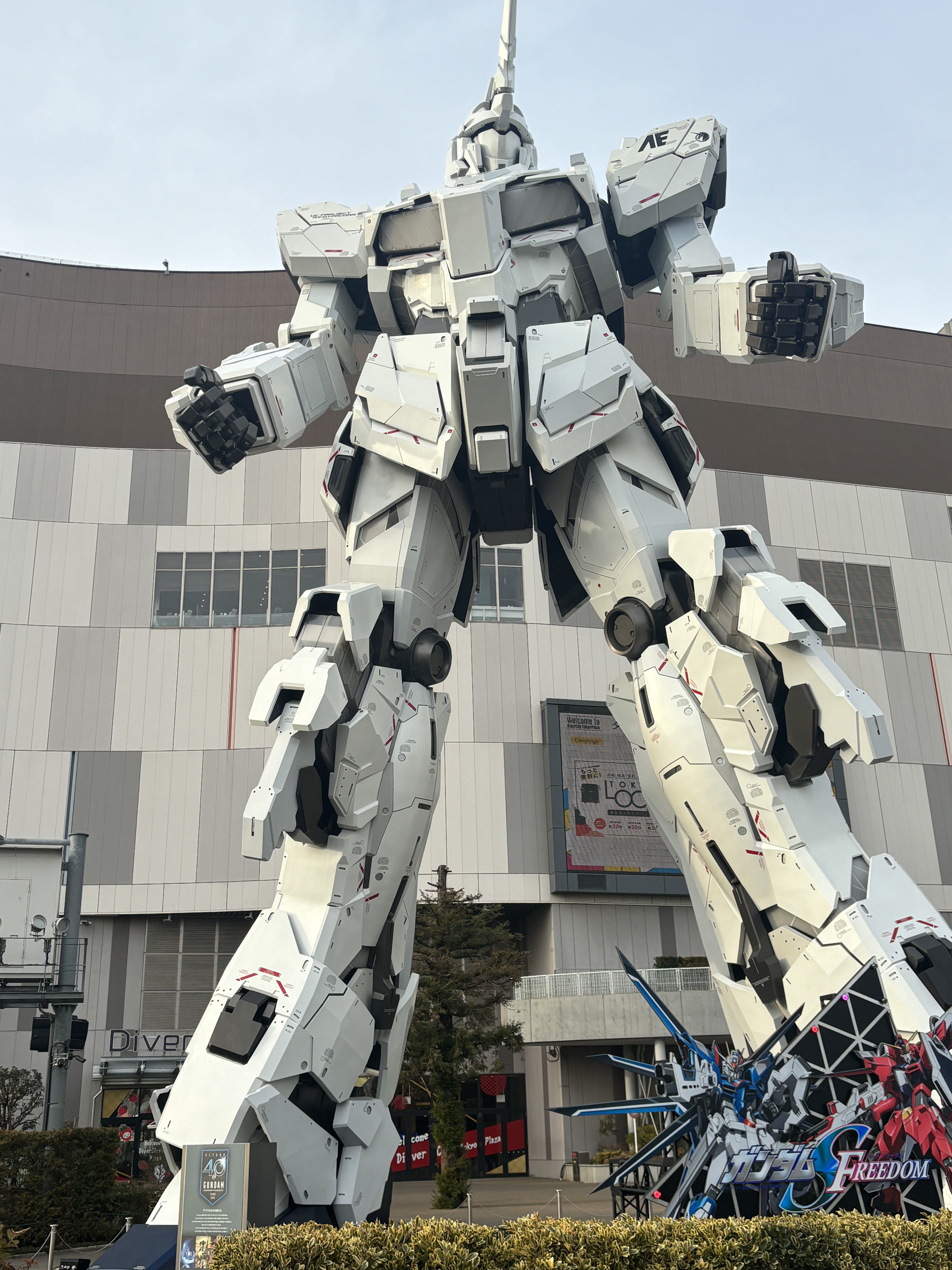 写真1